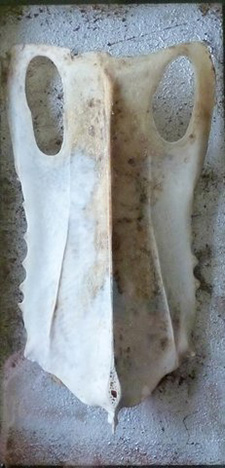 "Relique", Metall und Knochen, 15 cm x 10 cm, 2013